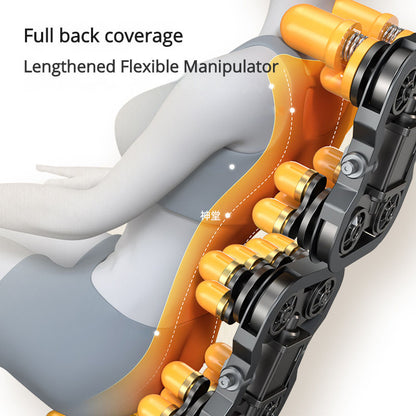 ZhenHao WP-C670 Massage Chair